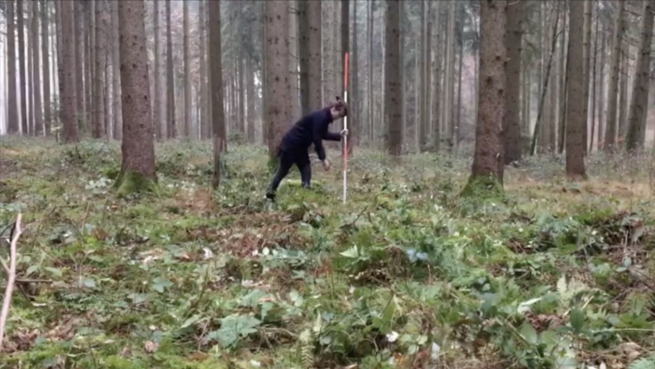 Seedwalk_I_Lucia_Mirlach