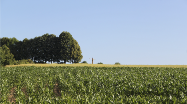 4_Meter_mit_Ausblick_(Der_Segnende)
