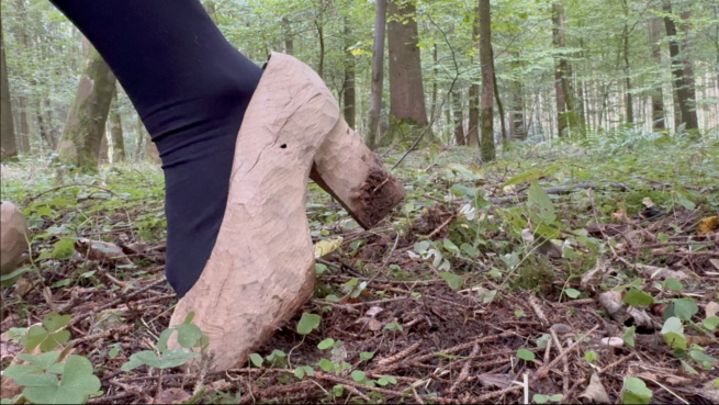 Seedwalk_II_Eichensamen_Holzstöckelschuhe_aus_Eichenholz_geschnitzt_Aus_der_fortlaufenden_Serie_Seedwalk_Mirlach